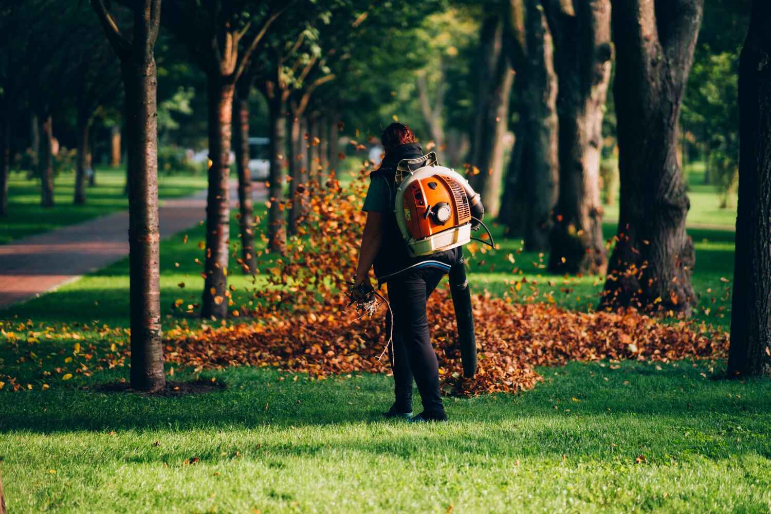 Best Tree Branch Trimming  in Norwood, NJ